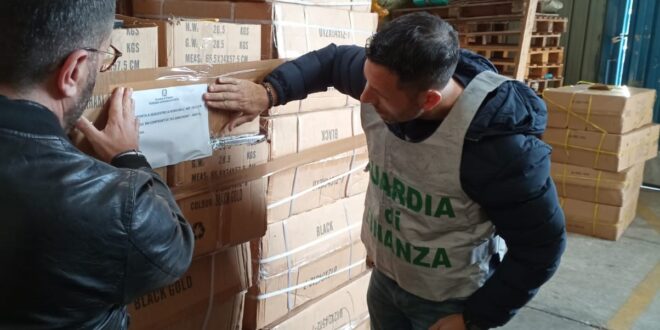 SAN NICOLA. Scoperto magazzino con 55mila paia di carpe contraffatte, nei  guai imprenditore - Appia News